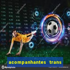 acompanhantes trans porto seguro